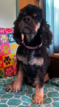 Mallory Mar 26 - Photo 7