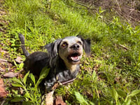 Casper Mar 26 - Photo 3