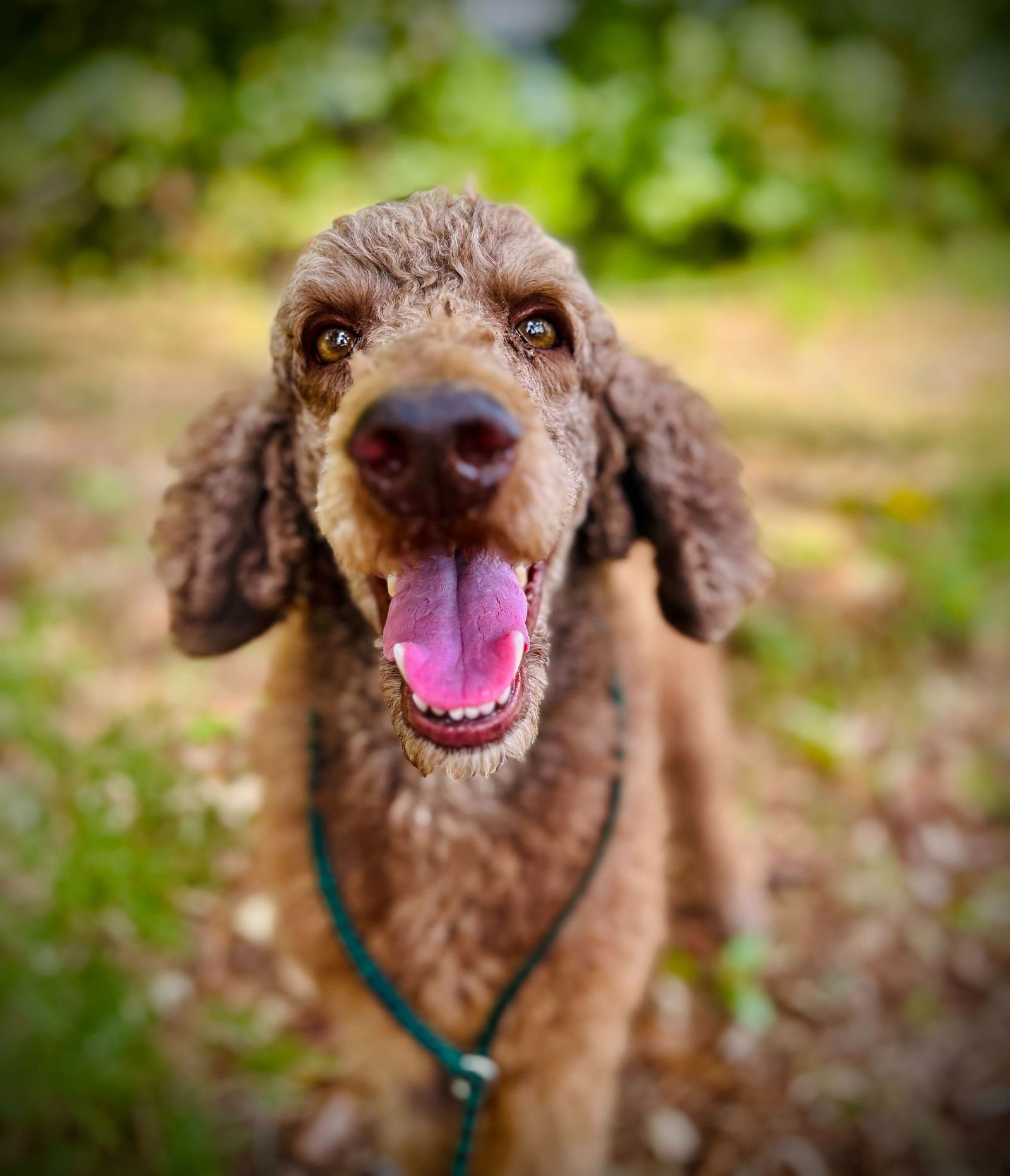 Abe Sep 25 - Photo 3