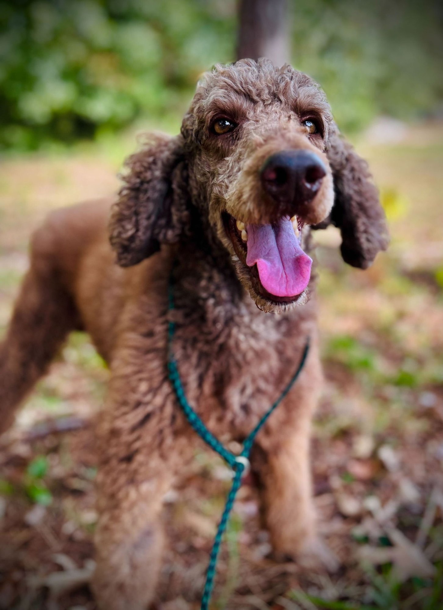 Abe Sep 25 - Photo 4