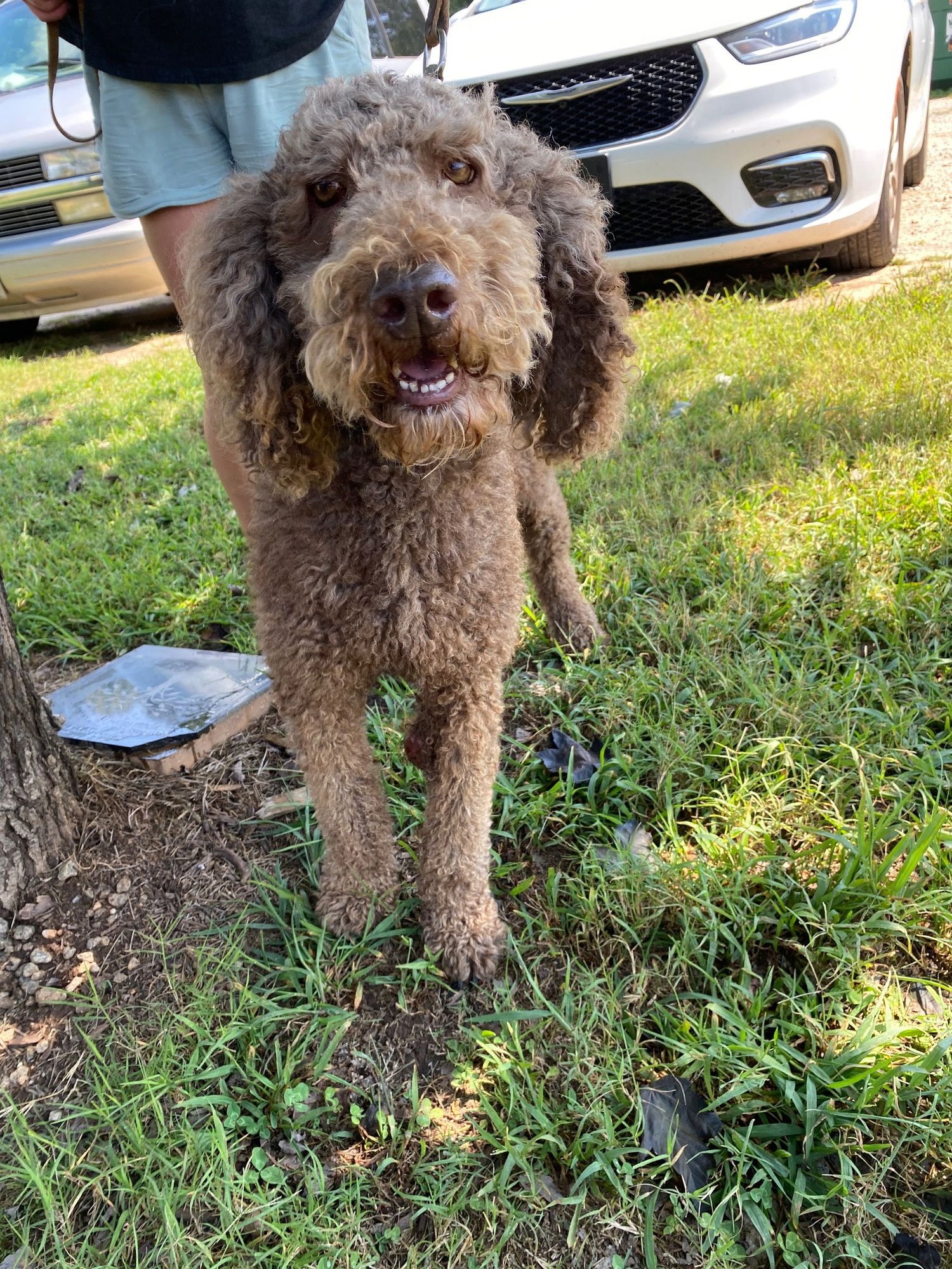 Abe Sep 25 - Photo 5