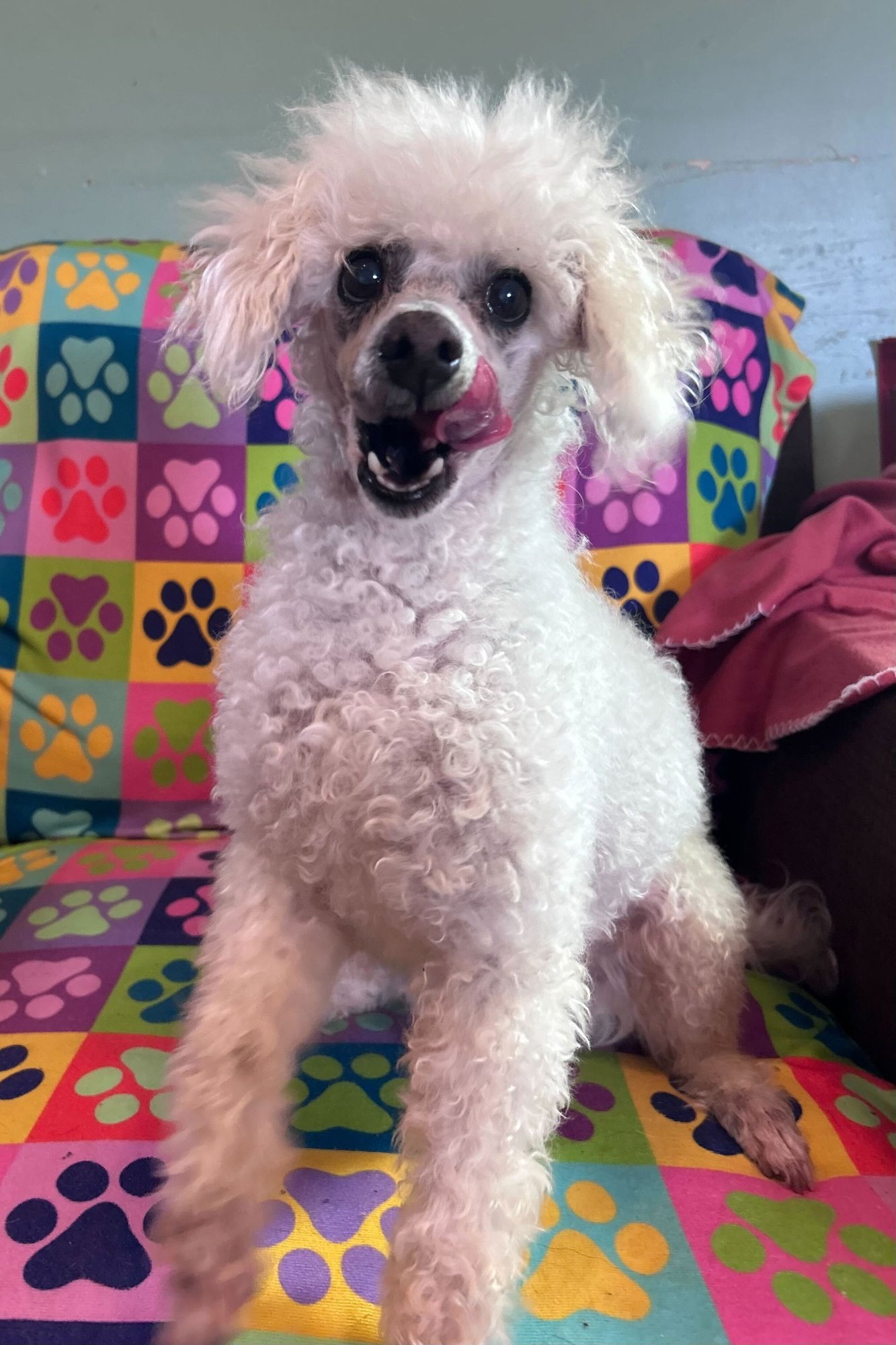 Petey Dec 25 - Photo 3