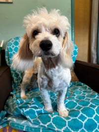 Jack Mar 26 - Photo 3