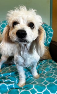 Jack Mar 26 - Photo 4