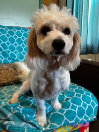 Jack Mar 26 - Photo 5