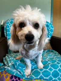 Jack Mar 26 - Photo 6