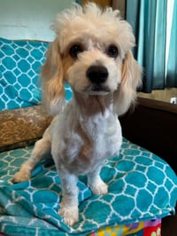 Jack Mar 26 - Photo 7