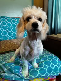 Jack Mar 26 - Photo 8