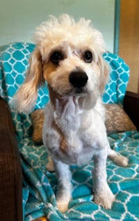 Jack Mar 26 - Photo 9