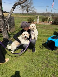 Jack Mar 26 - Photo 10