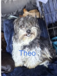 Theo Mar 26 - Photo 8