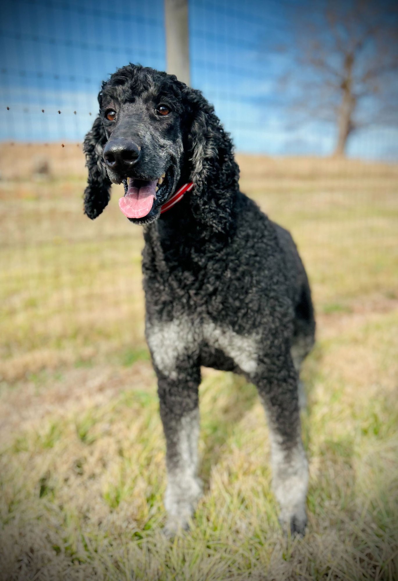 Bentley Oakes Dec 25 - Photo 3