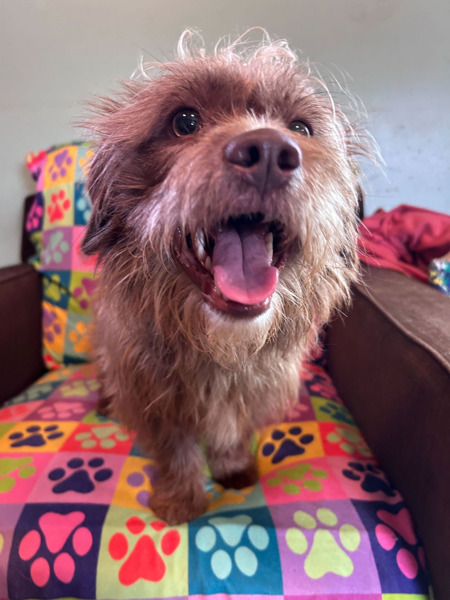 Mateo Jan 26 - Photo 3