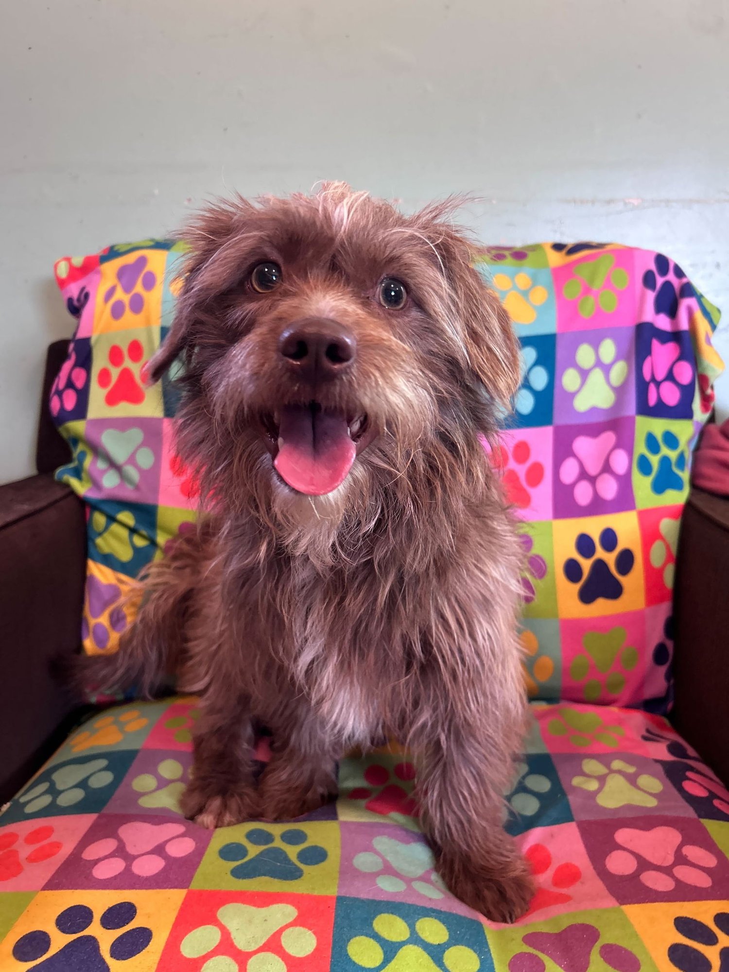 Mateo Jan 26 - Photo 4