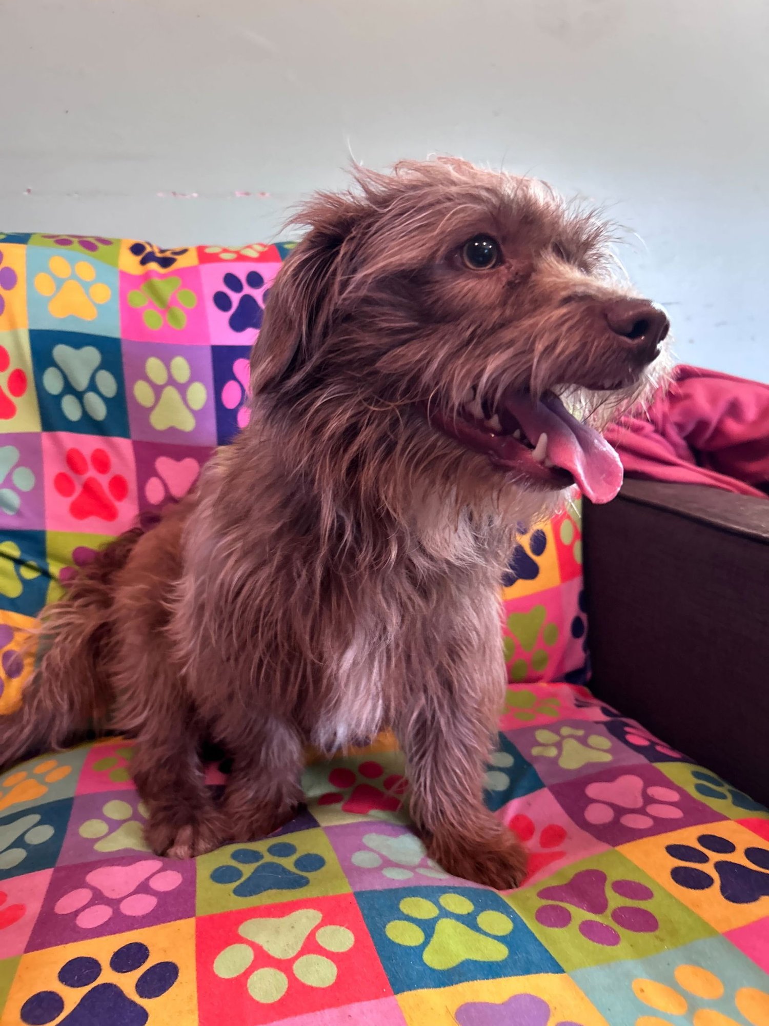 Mateo Jan 26 - Photo 5