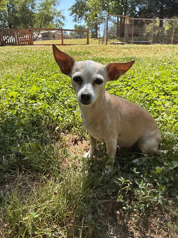 Lucy Jun 25 Image