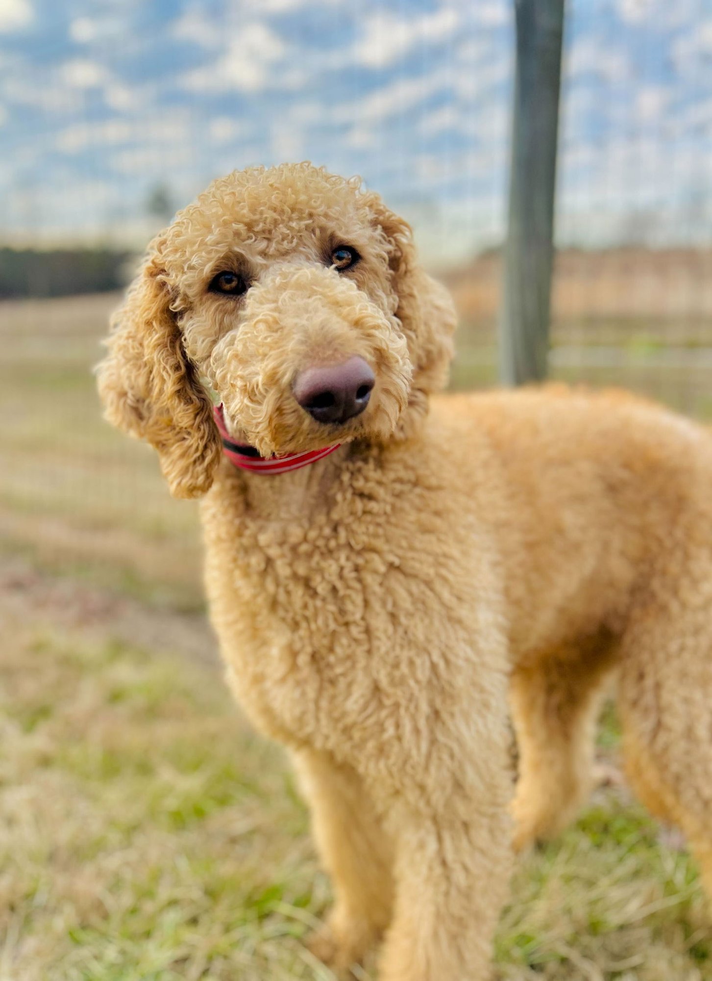 Finley of Earl Jan 26 - Photo 3