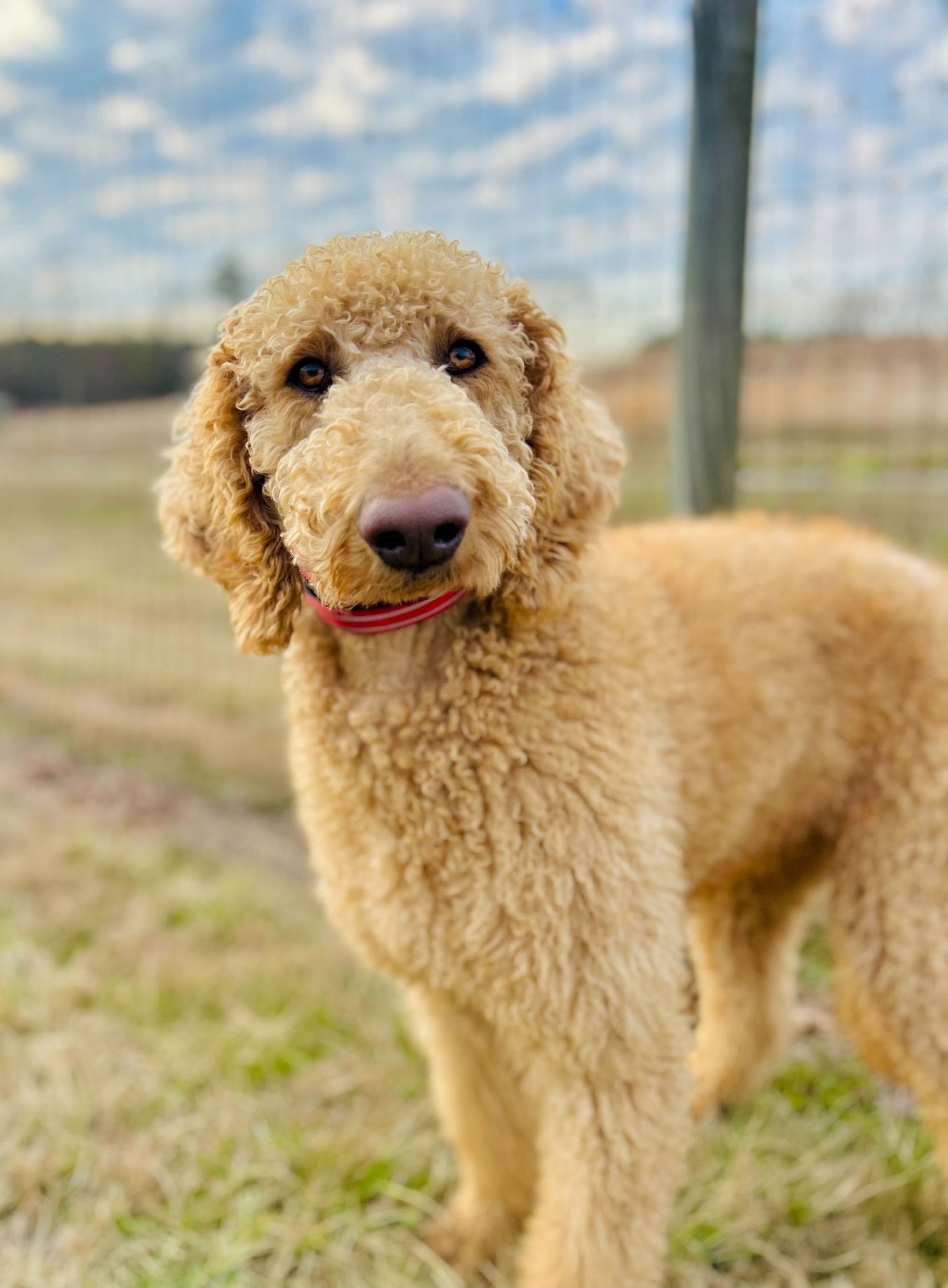 Finley of Earl Jan 26 - Photo 4