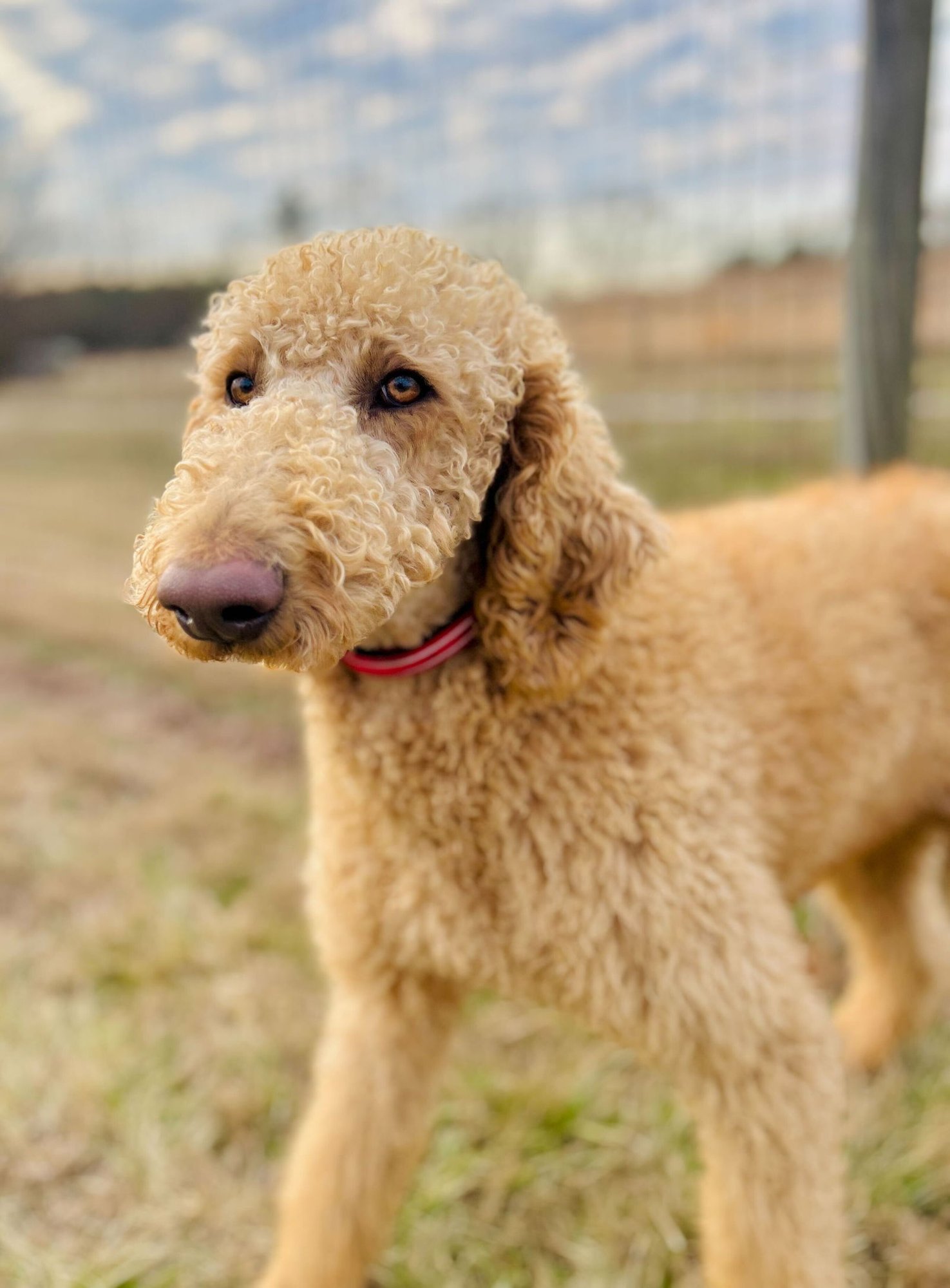 Finley of Earl Jan 26 - Photo 6