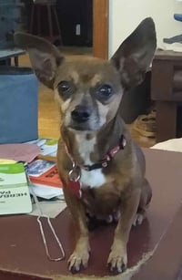 Ellie Mae Jun 25 - Photo 5