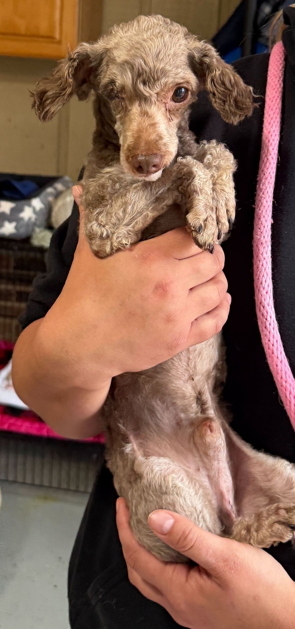 Romeo Feb 26 - Photo 3