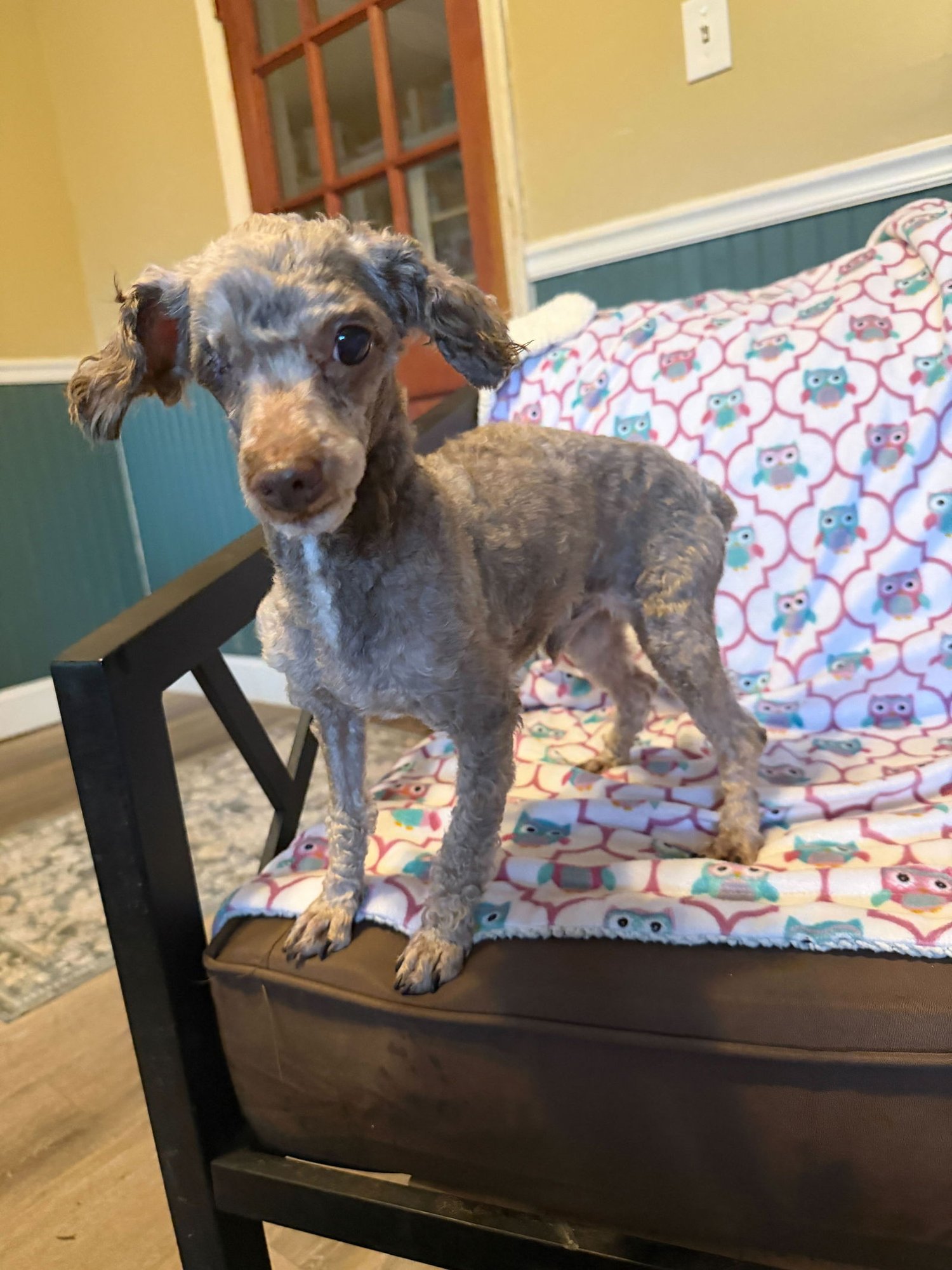 Romeo Feb 26 - Photo 4