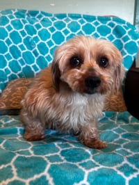 Toffee Mar 26 - Photo 4