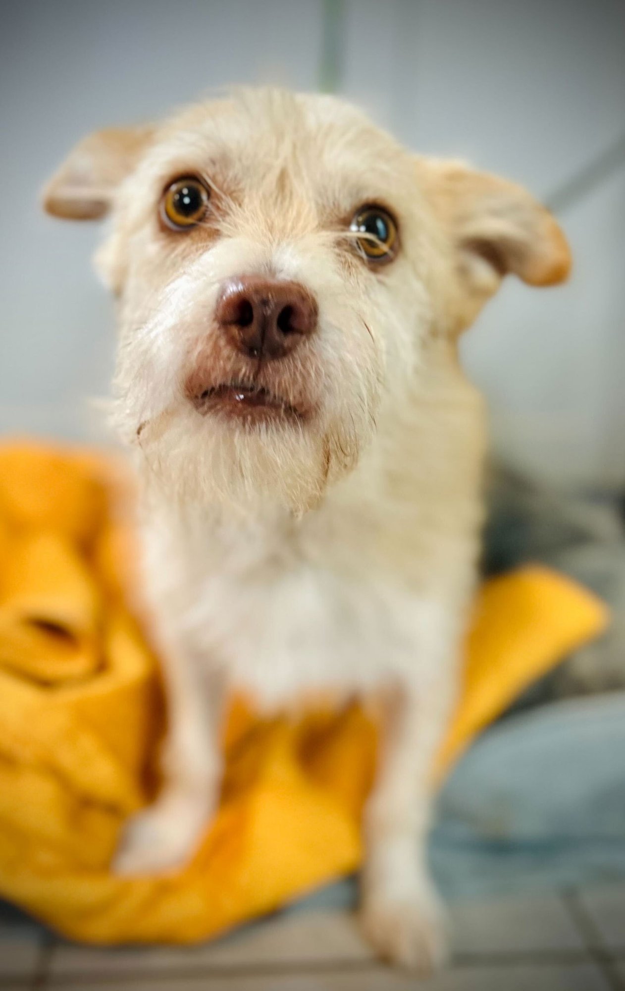 Underdog Aug 25 - Photo 3