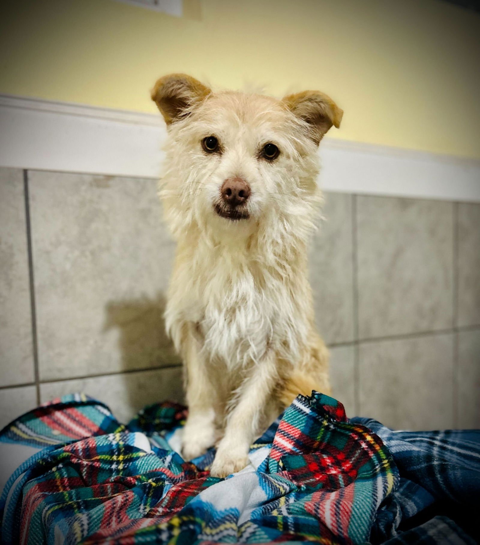 Underdog Aug 25 - Photo 4