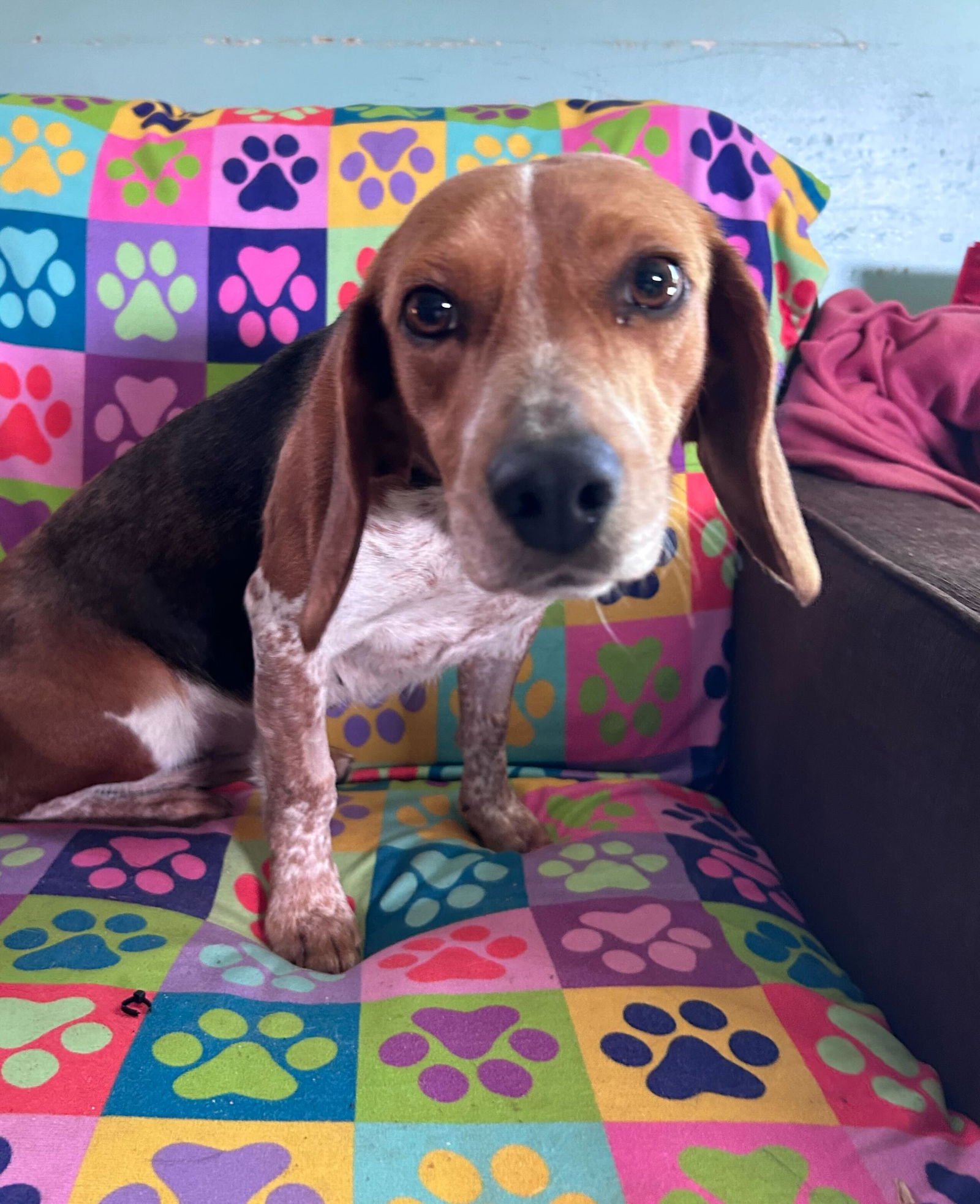 Hayley Feb 26 - Photo 3