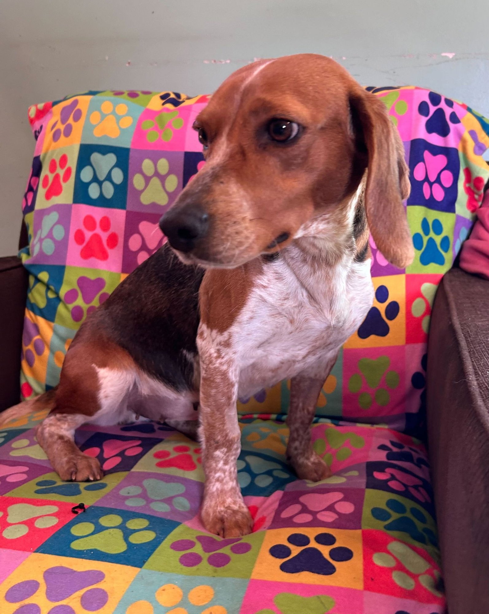 Hayley Feb 26 - Photo 4