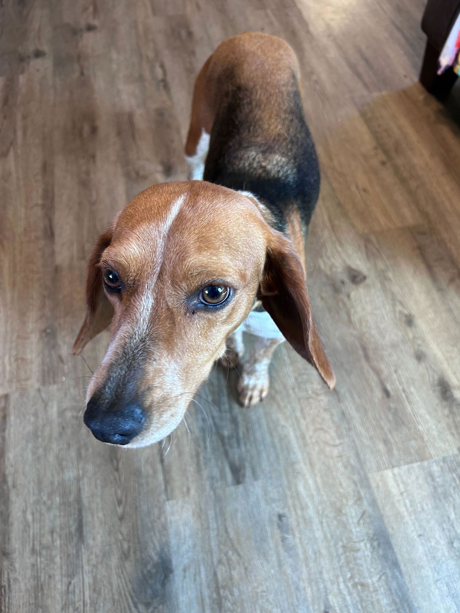 Hayley Feb 26 - Photo 5