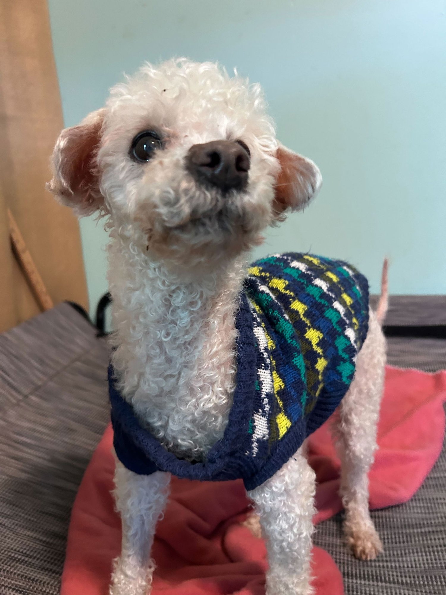 Jacy Jan 26 - Photo 3