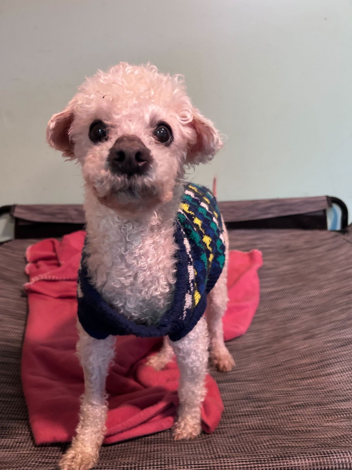 Jacy Jan 26 - Photo 4