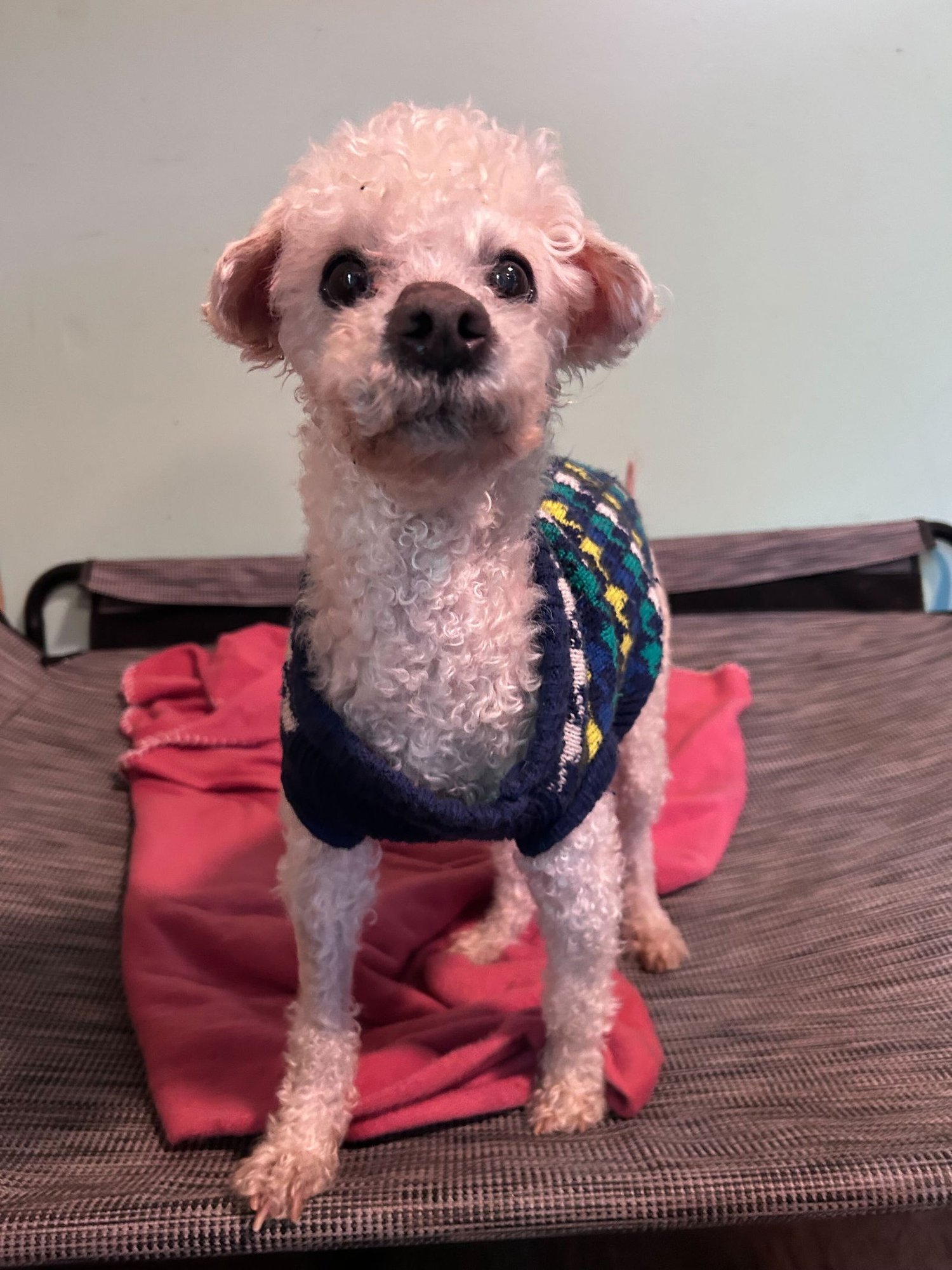 Jacy Jan 26 - Photo 5