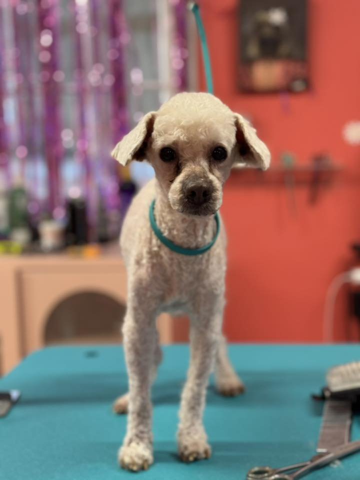 Jacy Jan 26 - Photo 6