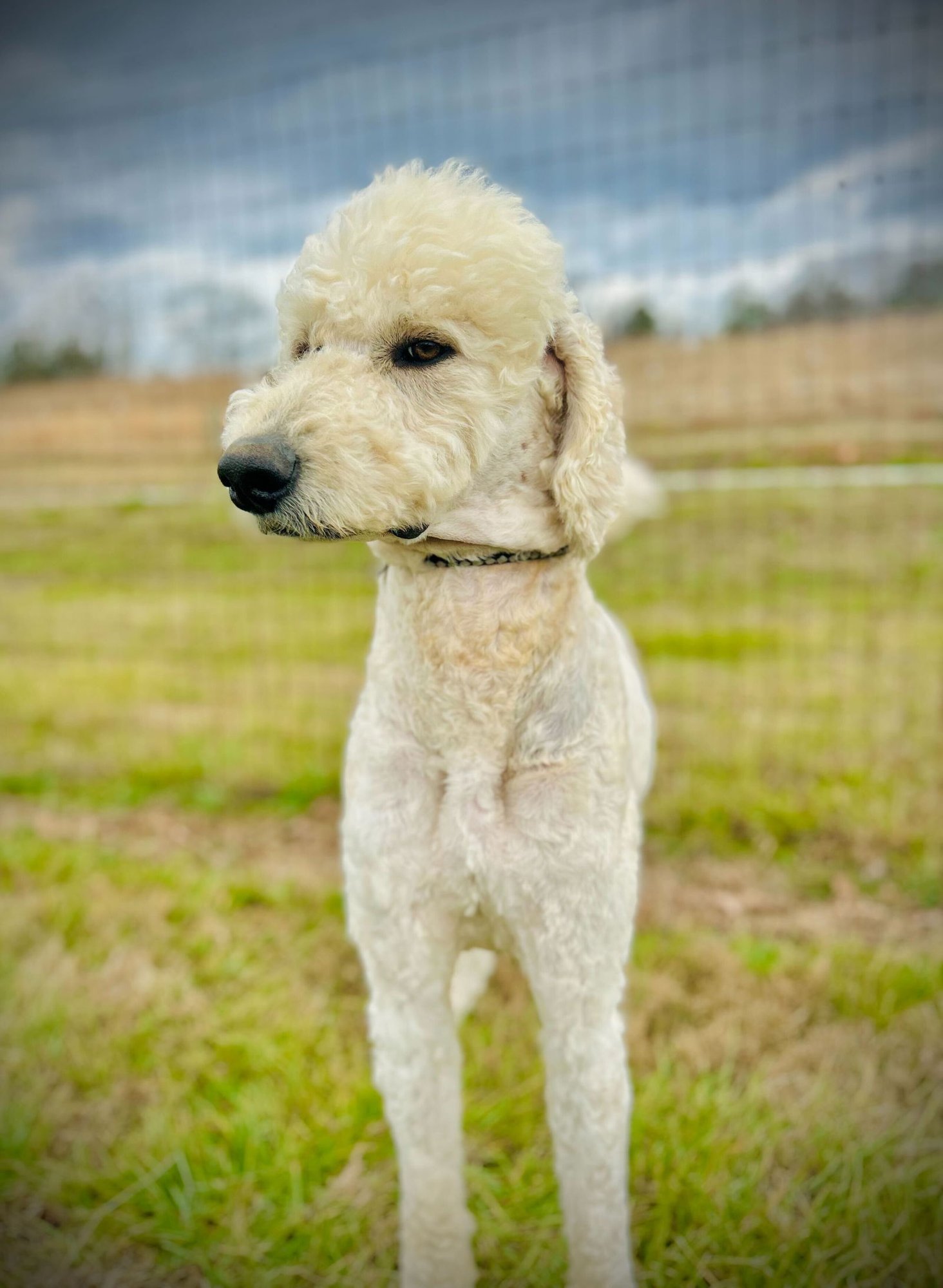 Otis Jan 26 - Photo 4