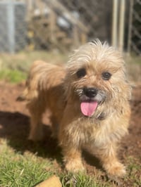 Molly Mar 26 - Photo 4
