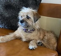 Molly Mar 26 - Photo 5