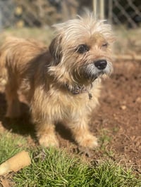 Molly Mar 26 - Photo 6