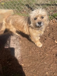 Molly Mar 26 - Photo 7