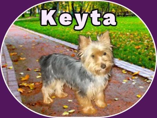 Keyta Oct 25 - Photo 11