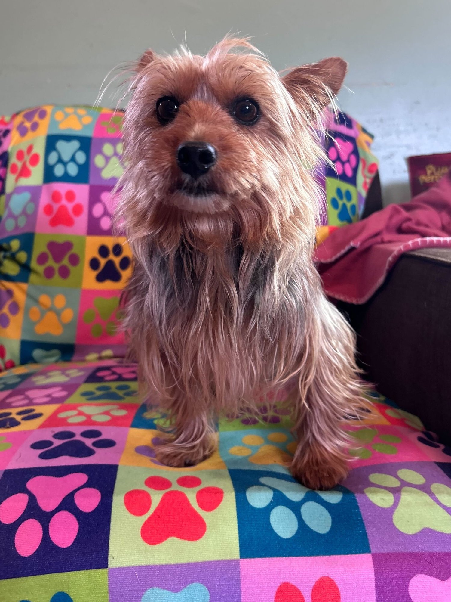 Keyta Oct 25 - Photo 4