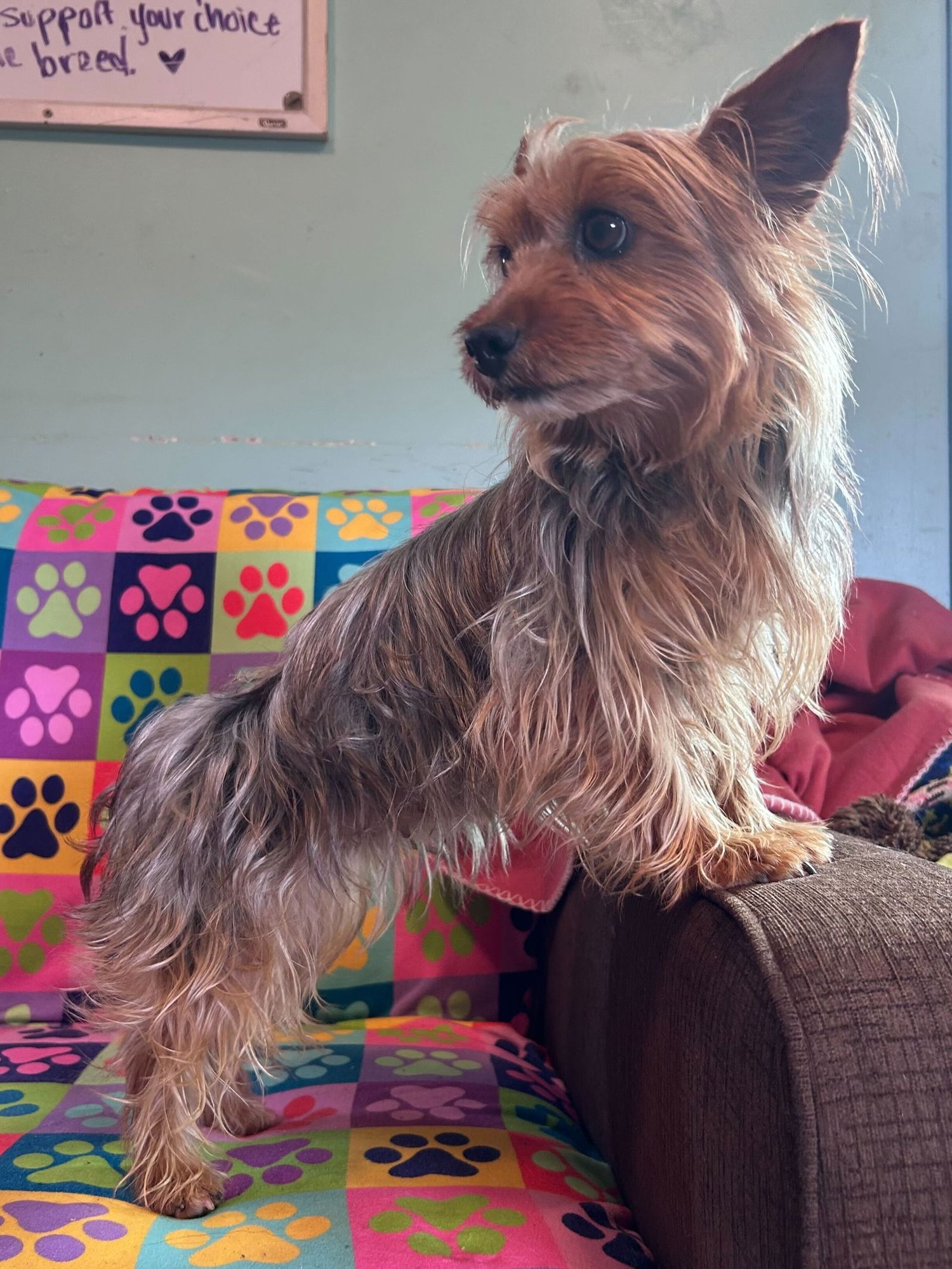 Keyta Oct 25 - Photo 6