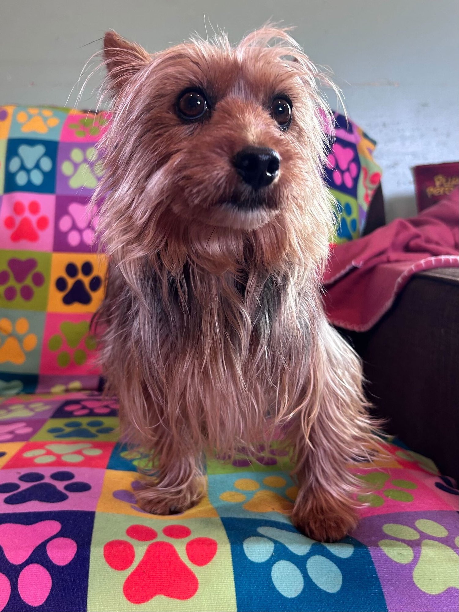 Keyta Oct 25 - Photo 7