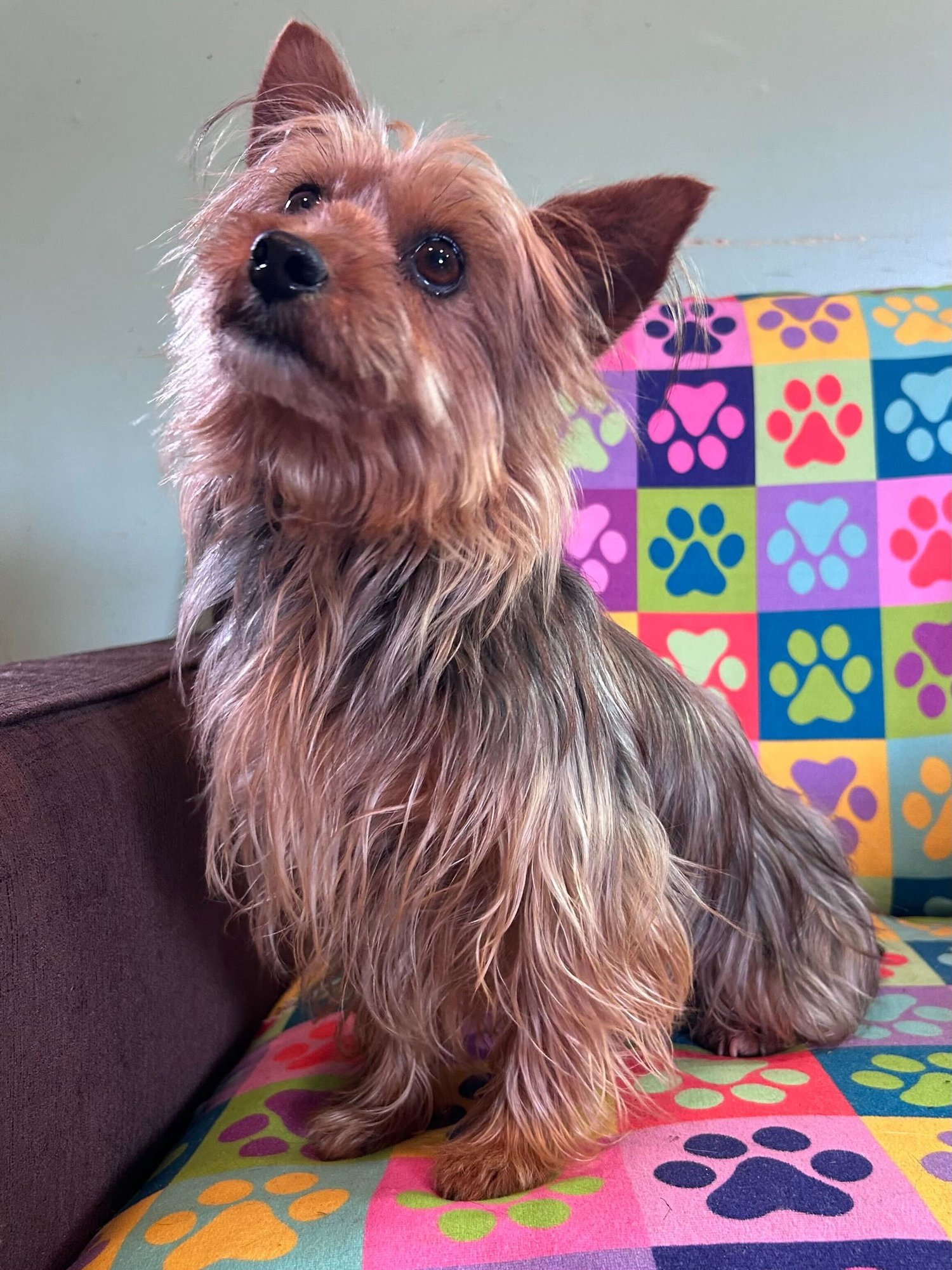 Keyta Oct 25 - Photo 8