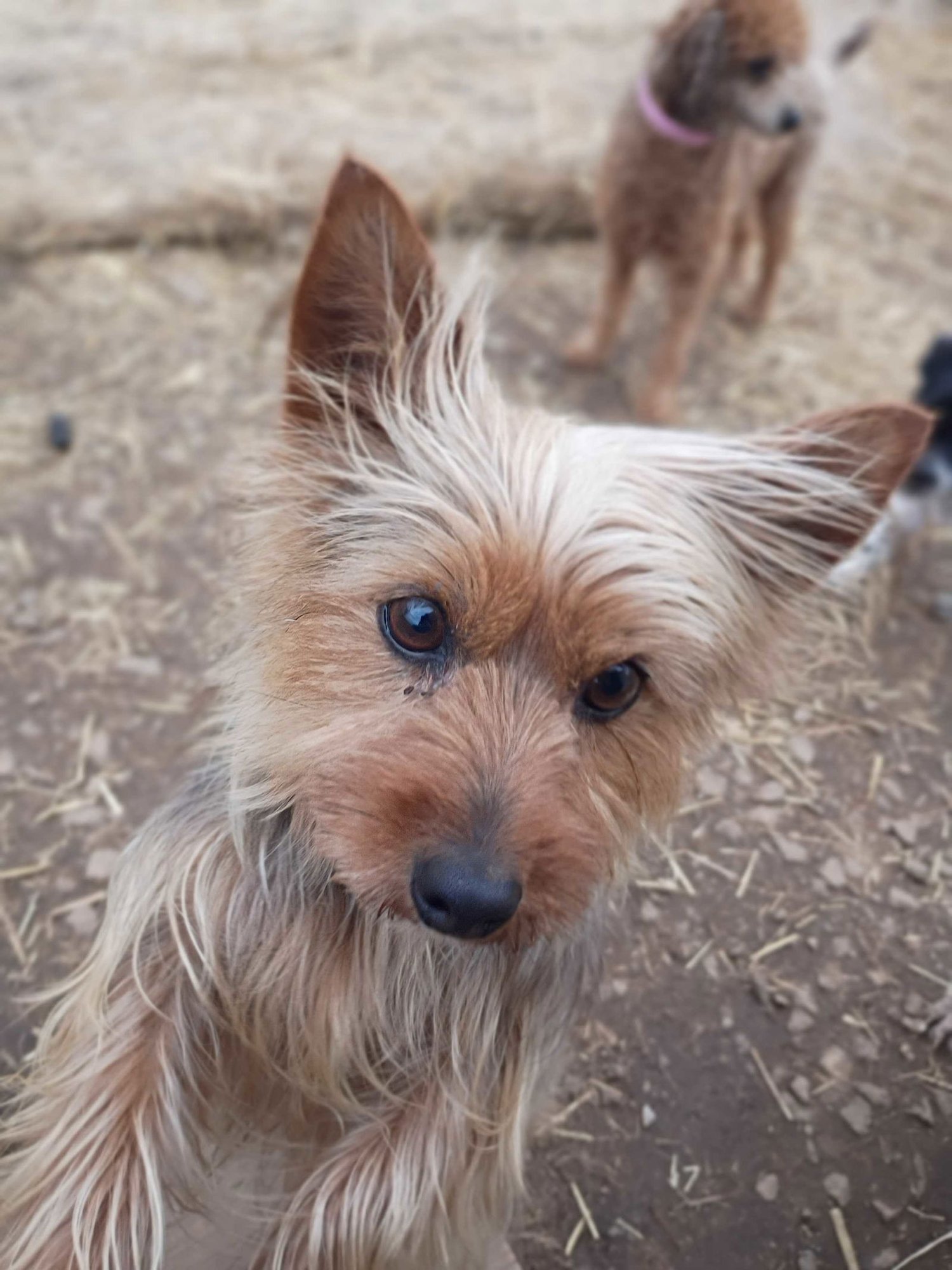 Keyta Oct 25 - Photo 9