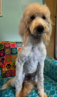 Chloe Feb 26 - Photo 11