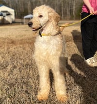 Chloe Feb 26 - Photo 12