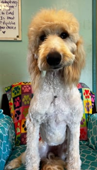 Chloe Feb 26 - Photo 13